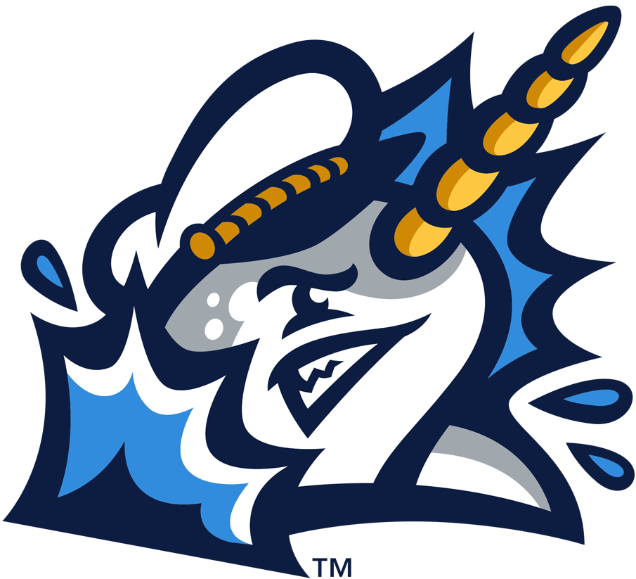 Norwich Sea Unicorns 2020-Pres Alternate Logo 2 iron on paper